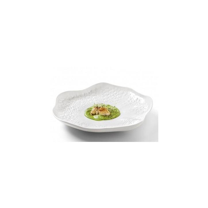 CHEFS COLLECTION: PLATO CORAL BRILLO Ø31cm. Ref.21123798