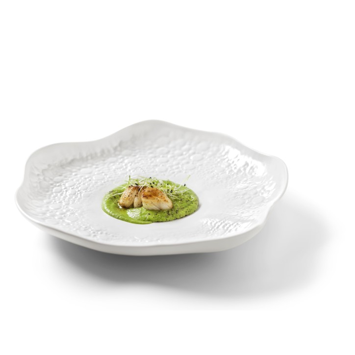 CHEFS COLLECTION: CORAL BRILLO PLATO Ref.21123798