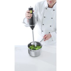 HENDI: BATIDORA TRITURADOR DE BRAZO PROFESIONAL 250w (Uso de  1 a 8 Litros) Ref.222157