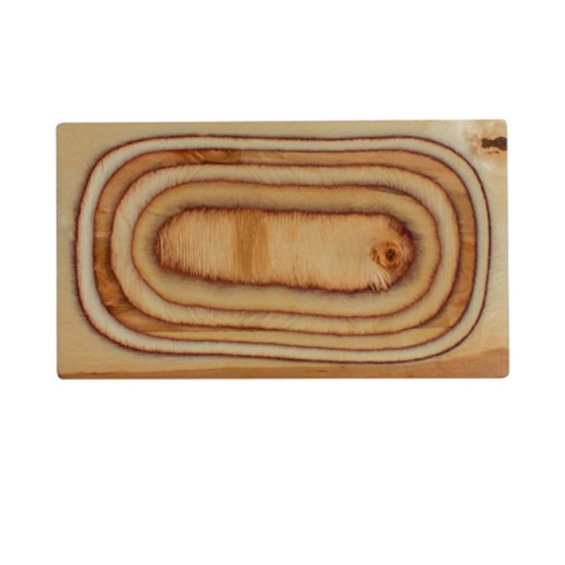 DE LA ROCA: BANDEJA RECTANGULAR MADERA DE ABEDUL 35X20cm. Ref.RT3520B