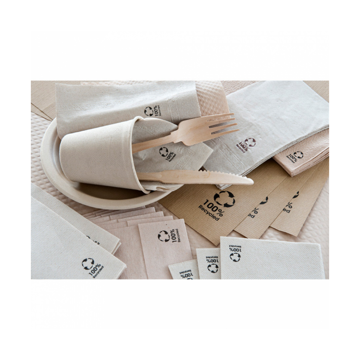 MANTELITO PAPEL INDIVIDUAL ECOLOGICO: SET TABLE 31X43 Cm. (Caja 500 Uni.) Ref.106.40 MANTELITO PAPEL INDIVIDUAL ECOLOGICO: SET TABLE 31X43 Cm. (Caja 500 Uni.) Ref.106.40