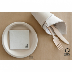 MANTELITO PAPEL INDIVIDUAL ECOLOGICO: SET TABLE 31X43 Cm. (Caja 500 Uni.) Ref.106.40
