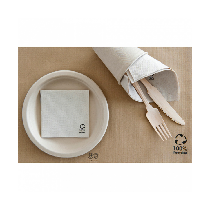 MANTELITO INDIVIDUAL ECOLOGICO: SET TABLE 31X43 Cm. (Caja 500 Uni.) Ref.106.40