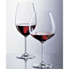 COPA IVENTO - SCHOTT ZWIESEL