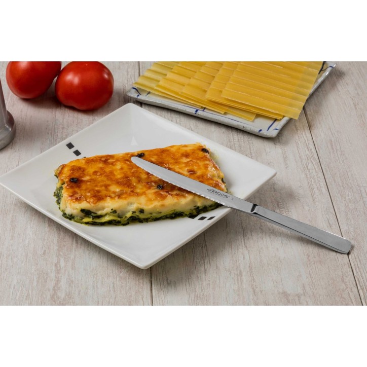 ARCOS: CUCHILLO DE MESA MONOBLOCK FILO PERLADO Ref.460400 ARCOS: CUCHILLO DE MESA MONOBLOCK FILO PERLADO Ref.460400