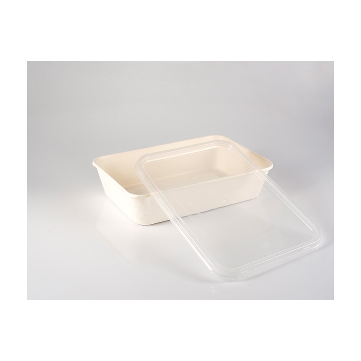 ECOLINE TRIGO: ENVASE RECTANGULAR HERMETICO 500ml. TAPA PP (50uds.) 173X116Xh40mm. Ref.HOPABI000001 ECOLINE TRIGO: ENVASE RECTANGULAR HERMETICO 500ml. TAPA PP (50uds.) 173X116Xh40mm. Ref.HOPABI000001