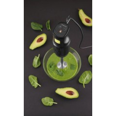 HENDI: BATIDORA TRITURADOR DE BRAZO PROFESIONAL 250w (Uso de  1 a 8 Litros) Ref.222157