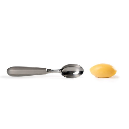 PERFECT QUENELLES ACERO INOXIDABLE
