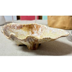 PURA SANGRE: DEL MAR BANDEJA CONCHA MOMI 20X15Xh6cm: Ref.P1505033