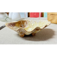 PURASANGRE: BANDEJA CONCHA MOMI 20X15Xh6cm: Ref.P1505033