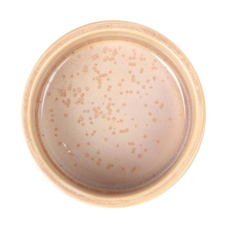 GRAN CHEF BEIGE: CUENCO IRIS Ø10Xh5cm. 27cl. Ref.B1506028E