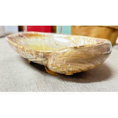 PURASANGRE: BANDEJA ABALON MOMI 19X15Xh6cm: Ref.P1505032