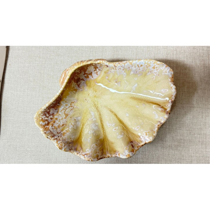 PURASANGRE: BANDEJA CONCHA MOMI 20X15Xh6cm: Ref.P1505033