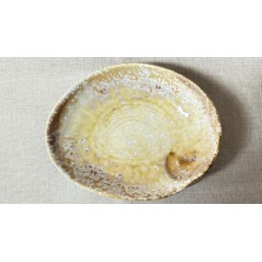 PURASANGRE: BANDEJA ABALON MOMI 19X15Xh6cm: Ref.P1505032