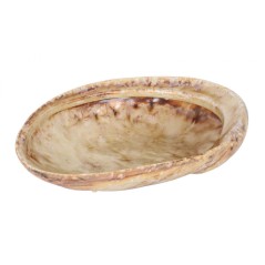 PURA SANGRE: DEL MAR BANDEJA ABALON MOMI 19X15Xh6cm: Ref.P1505032