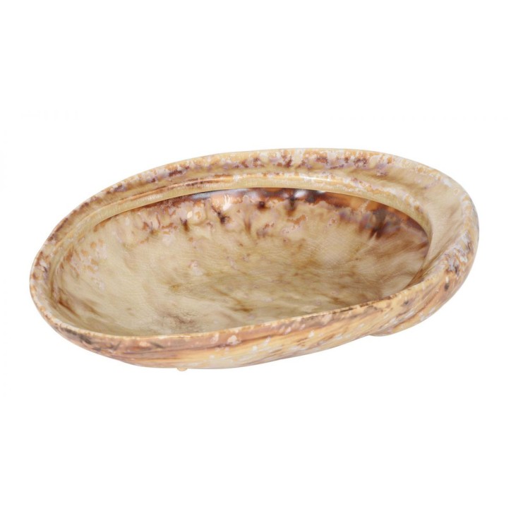 PURASANGRE: BANDEJA ABALON MOMI 19X15Xh6cm: Ref.P1505032