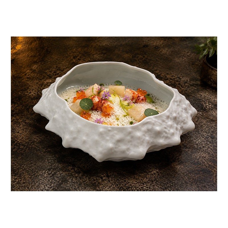 CHEF COLECTION: PLATO CENTOLLA 20X18Xh6 Ref.21133430