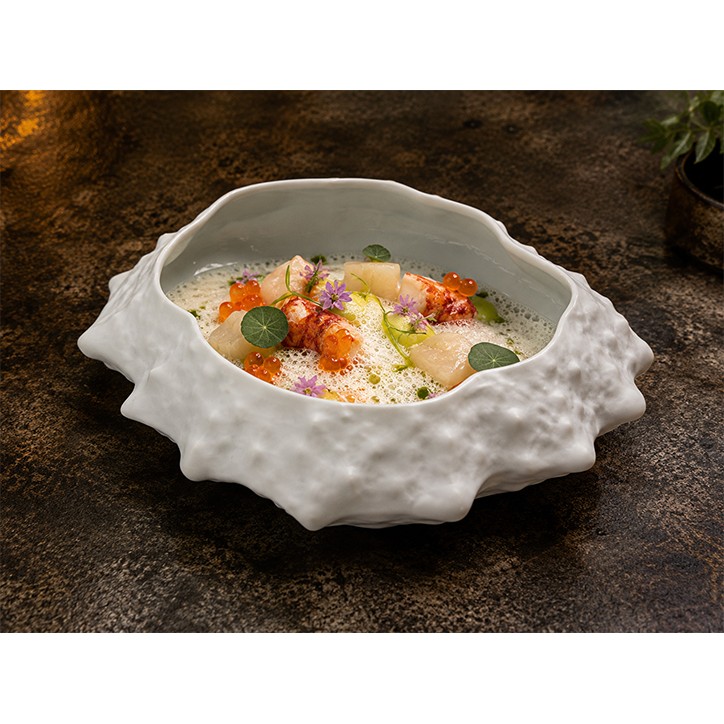CHEF COLECTION: PLATO CENTOLLA 20X18Xh6 Ref.21133430