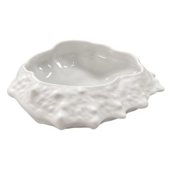 CHEF COLECTION: PLATO CENTOLLA 20X18Xh6 Ref.21133430