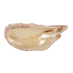 PURA SANGRE: DEL MAR BANDEJA MEJILLON MOMI 34x15.5x3.5cm Ref.P1505031