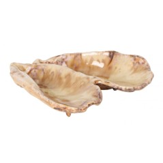 PURA SANGRE: DEL MAR MINIATURA OSTRA DOBLE MOMI 14x13x3.5cm Ref.P1505036