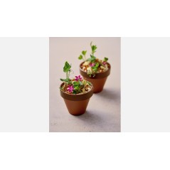 MINIATURA BARRO: FLOWER TIESTO TERRA XTREM M Ø8X7 5cm. 100ml. Ref.220 3010
