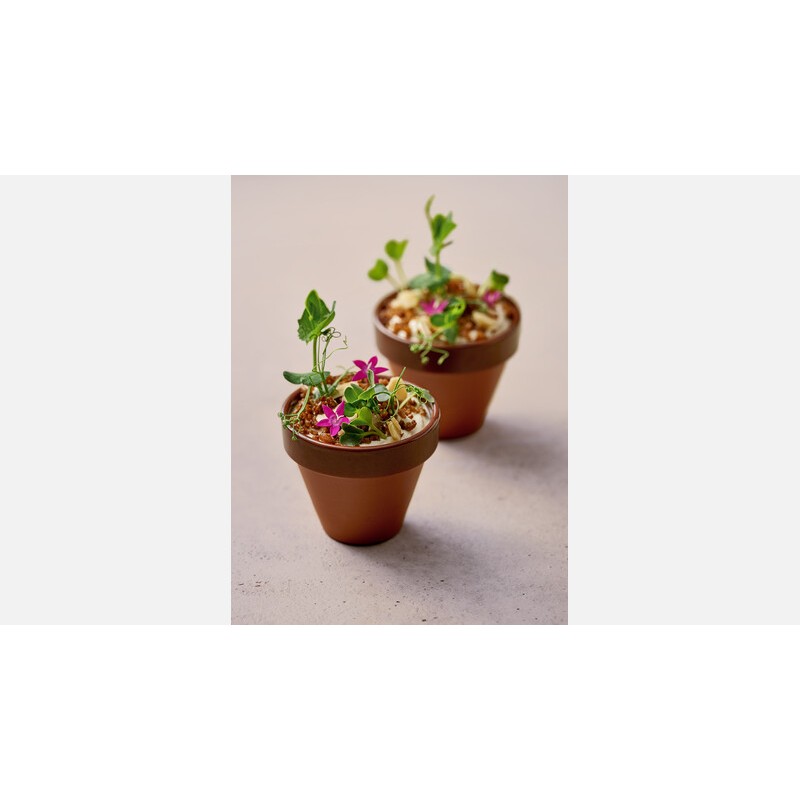 MINIATURA BARRO: FLOWER TIESTO TERRA XTREM M Ø8X7 5cm. 100ml. Ref.220 3010