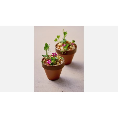MINIATURA BARRO: FLOWER TIESTO TERRA XTREM L Ø10X9cm. 350ml. Ref.220 3006