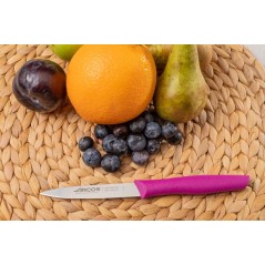 ARCOS SERIE INYECTADA: CUCHILLO MONDADOR 100mm. MORADO Ref.188631