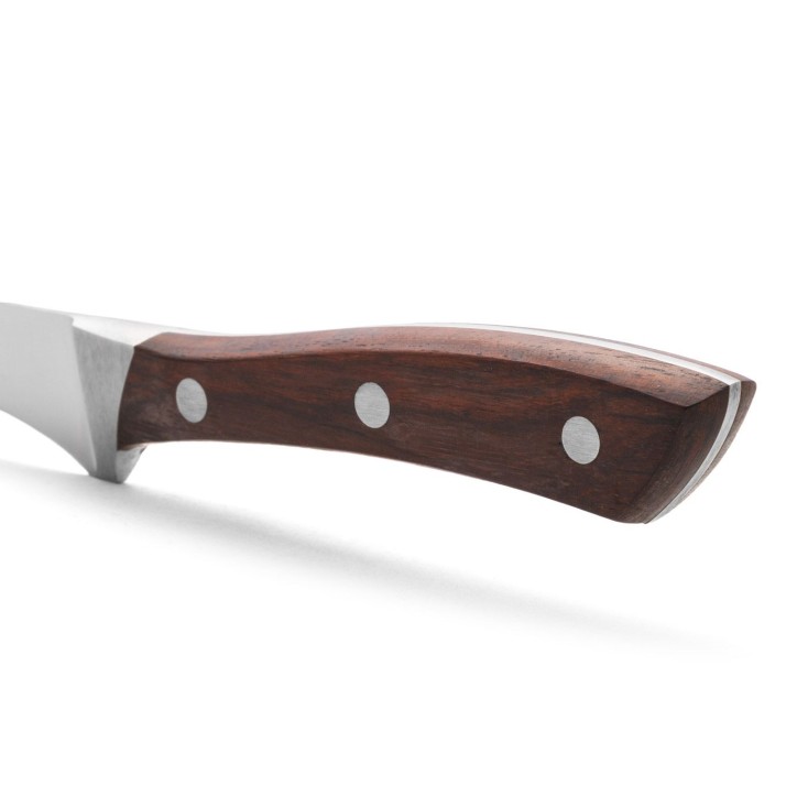 ARCOS SERIE NATURA: CUCHILLO JAMONERO 250mm. Ref.155610